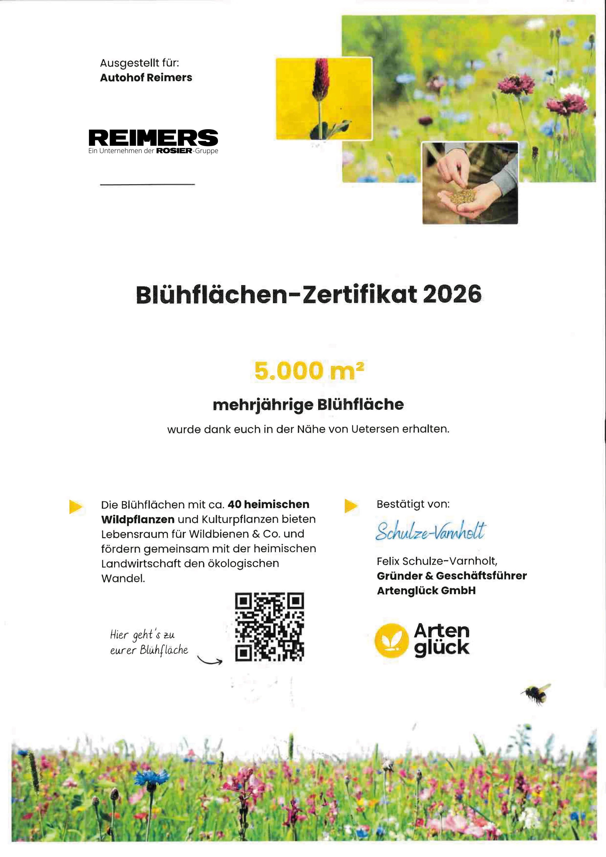 Blühflächenzertifikat Aug2026 ahreimers